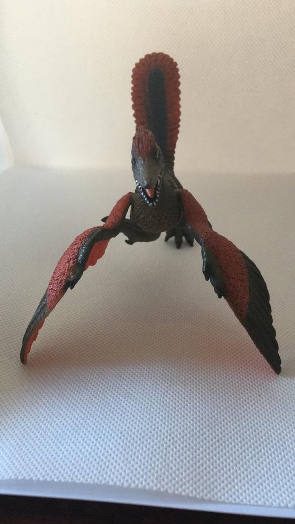Archaeopteryx Urvogel